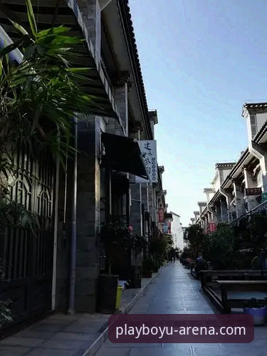 博鱼体育投注技巧最新动态：v2.0.3版本带来的实战策略升级